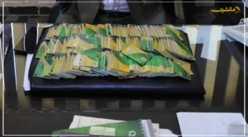 رسميًا.. دليل كامل هكذا تُضيف المواليد الجدد على بطاقة التموين عبر منصة مصر الرقمية 1